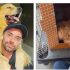 Anac e Ministério de Portos e Aeroportos investigarão morte do cão Joca na Gol
