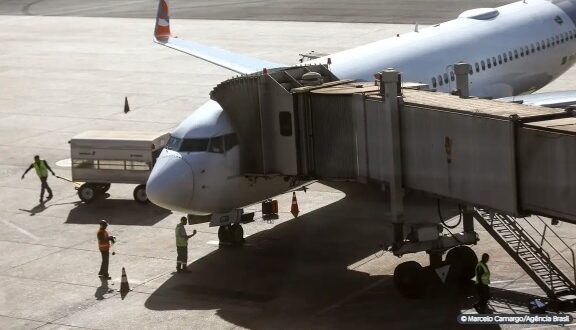 O Ministério de Portos e Aeroportos e a Agência Nacional de Aviação Civil (Anac) instalaram nesta quinta-feira (18) uma comissão sobre o transporte aéreo de pets