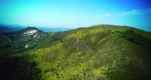 Prefeitura de Santana de Parnaíba realiza ação para recuperação ambiental no morro do Voturuna