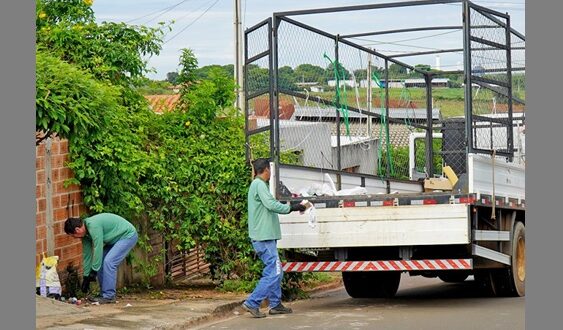 Dia D de combate à dengue encontra 241 criadouros do Aedes aegypti, além de imóveis fechados para a vistoria