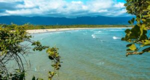 Os banhistas devem ficar atentos às sinalizações sobre a qualidade da água do mar. Foto: Divulgação/Governo de SP