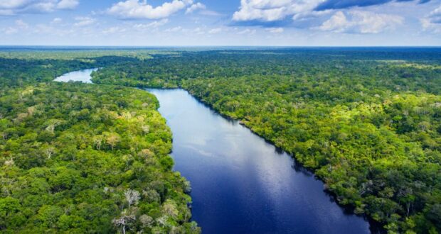 O órgão estabeleceu 23 metas de biodiversidade. Entre elas, reduzir a perda de biodiversidade, promover o planejamento espacial e buscar zerar o desmatamento e a conversão da vegetação nativa