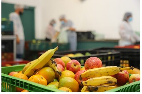 Osasco distribuirá 40 toneladas de alimentos da agricultura familiar para famílias em vulnerabilidade