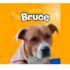 Jandira inaugura o Pet Place Bruce na Área do Trabalhador, espaço voltado ao lazer e bem-estar dos animais de estimação.