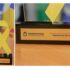 Barueri é um dos cinco municípios premiados no Destaques Maio Amarelo 2025 em São Paulo