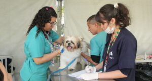 Prefeitura de Barueri promove o Dia Animal nos dias 26 e 27 de julho, das 9h às 17h, no Parque Municipal Dom José. Participe!