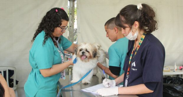 Prefeitura de Barueri promove o Dia Animal nos dias 26 e 27 de julho, das 9h às 17h, no Parque Municipal Dom José. Participe!