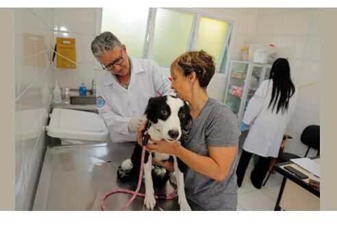 O posto fixo oferece até 75 doses, disponibilizadas por ordem de chegada