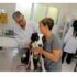 O posto fixo oferece até 75 doses, disponibilizadas por ordem de chegada