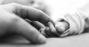 Nova lei assegura apoio a famílias em luto gestacional, fetal ou neonatal e institui outubro como mês de conscientização no Brasil.
