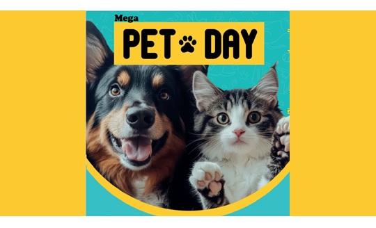 Prefeitura de Osasco promove Mega Pet Day no Calçadão, em frente ao Osasco Plaza, no sábado (2/8), das 10h às 16h.