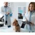 Pesquisa global revela que 39% dos veterinários usam IA no dia a dia; no Brasil, tecnologia ajuda na gestão e otimização do tempo.
