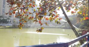 Com coletas e análises, Barueri avalia qualidade da água em 18 pontos para proteger ecossistemas e preservar o meio ambiente.