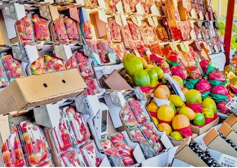 EcoFeira Versão Inverno será no dia 23 de agosto, no Parque Jequitibá, com atividades culturais e apoio a produtores locais.