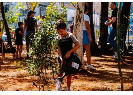 Subprefeituras e sociedade civil promovem mutirões de plantio aos sábados, aumentando a arborização da cidade até a COP 30.
