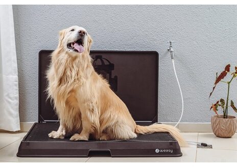 Weasy produz banheiros inteligentes, econômicos e ecológicos para cães e gatos