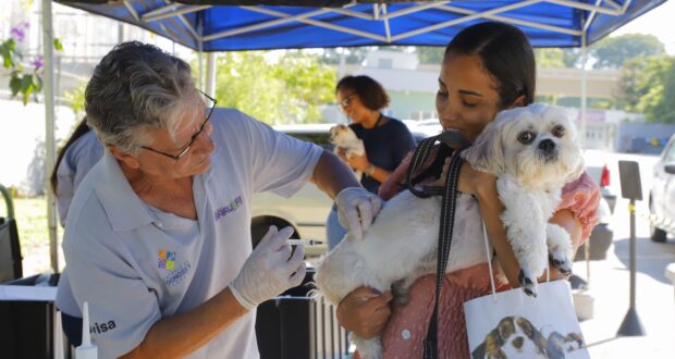 DTCZ realiza vacinação antirrábica gratuita para cães e gatos nos dias 13 e 27 de setembro, das 9h às 16h, em Barueri.