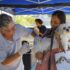 DTCZ realiza vacinação antirrábica gratuita para cães e gatos nos dias 13 e 27 de setembro, das 9h às 16h, em Barueri.