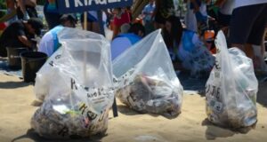 No Dia Mundial da Limpeza, 22 cidades promovem mutirões e ações educativas para cuidar de praças, rios, mangues e praias.