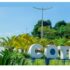 Prefeitura de Cotia disponibiliza carnês de ISSQN e Licenças no portal de serviços, com opção de pagamento único ou parcelado.