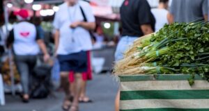 Nesta quarta (1º), a Feira livre da Granja Viana terá ação da Prefeitura de Cotia com atendimentos e serviços gratuitos.