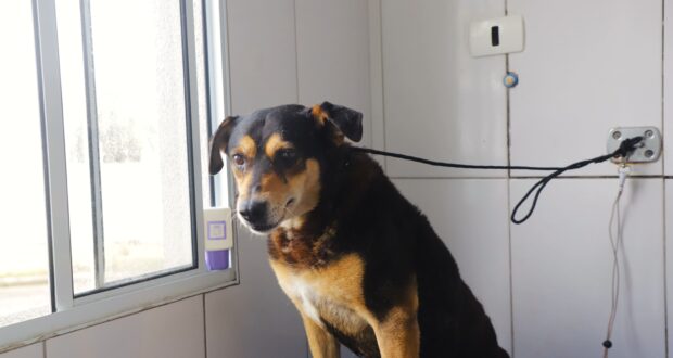 A “Bela” história de superação através do Cepad 2