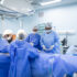 Governo de SP destina R$ 18 mi ao Nutabes, na USP, para pesquisa de xenotransplante visando reduzir a carência de órgãos e tecidos.