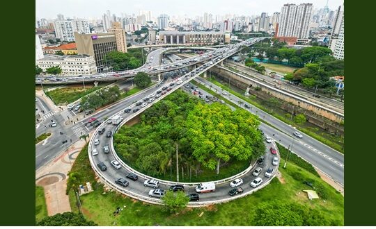 Relatório internacional destaca São Paulo como modelo global na criação de empregos verdes e políticas ambientais inovadoras.